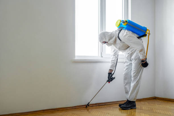 Best Residential Pest Control  in Ecorse, MI